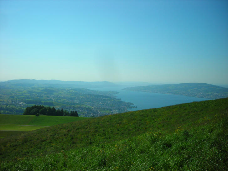 Panorama mit Zürichsee