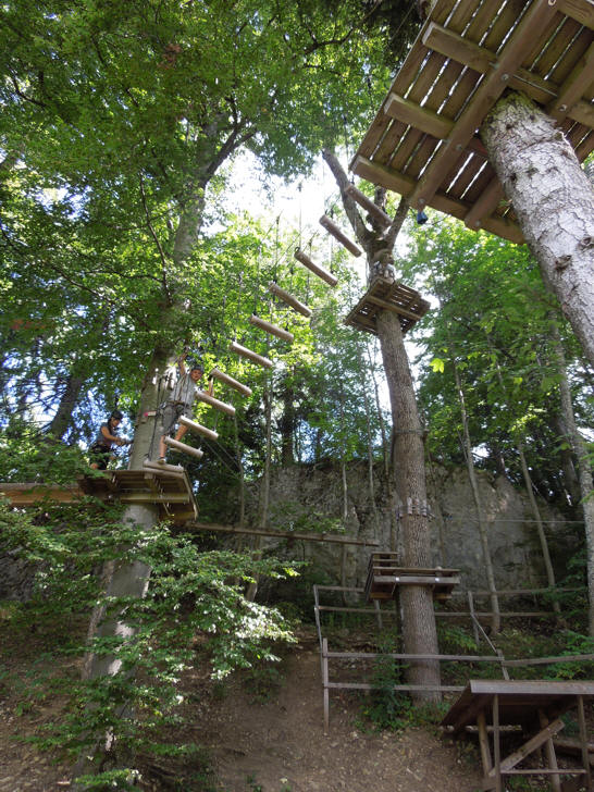 Holzbrücke in den Baumwipfeln